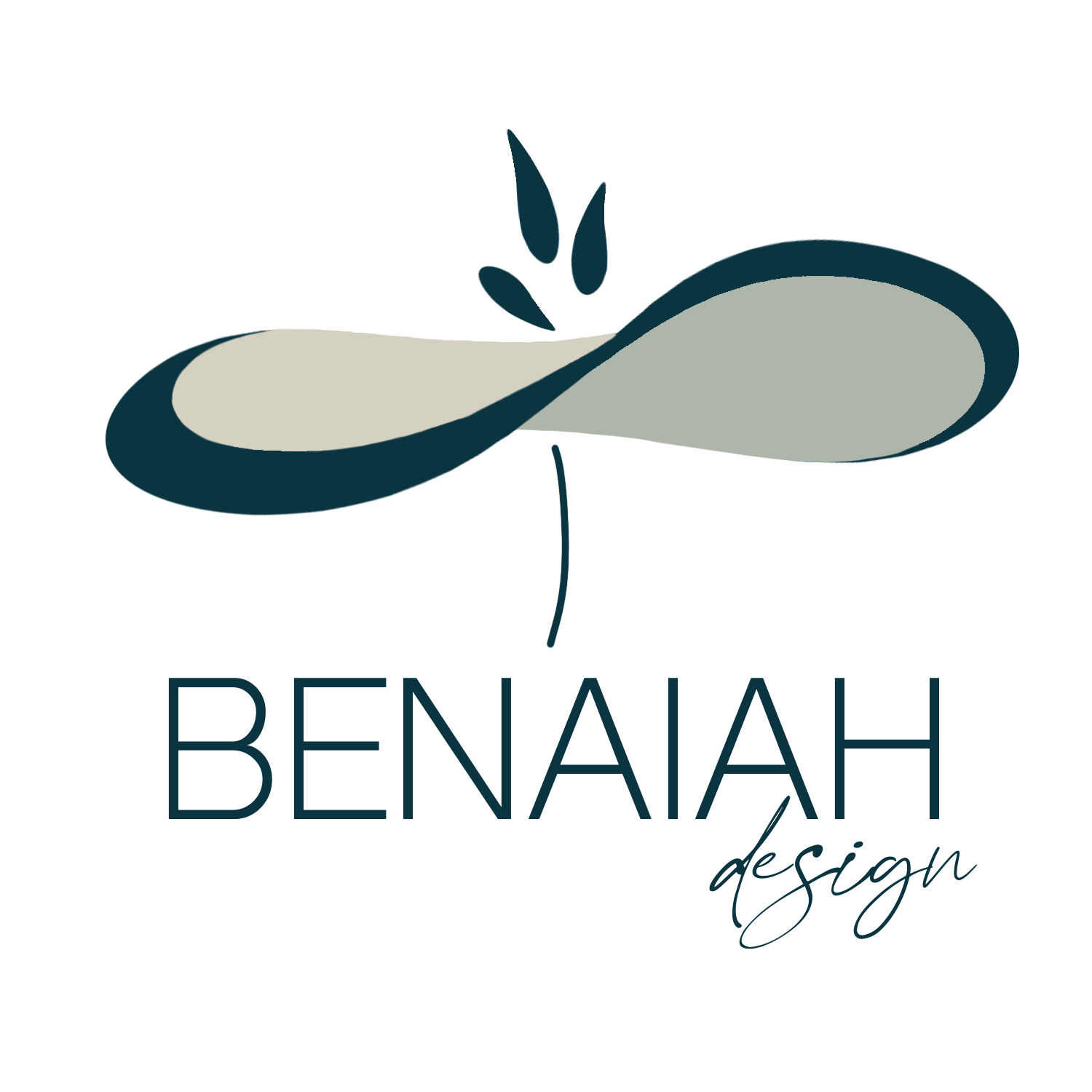 Benaiah Design Coaching